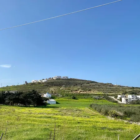 Apartment Olive Nest *