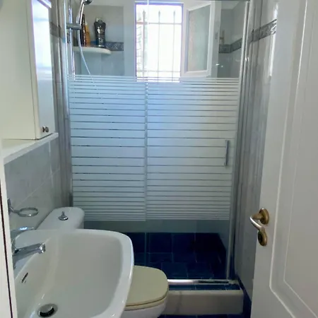 Olive Nest Parasporos