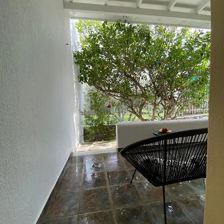 Apartment Olive Nest Parasporos