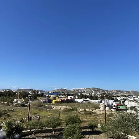 Olive Nest Apartment *