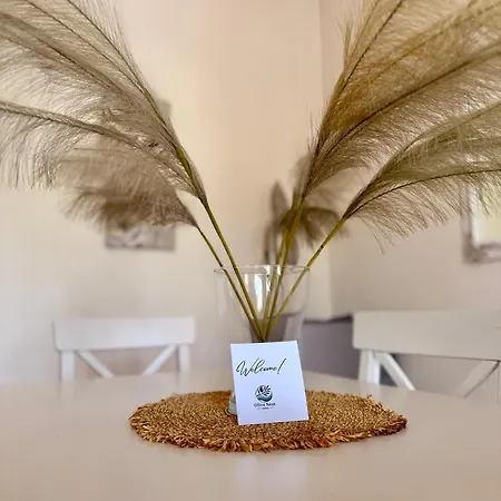 Olive Nest פרספורוס