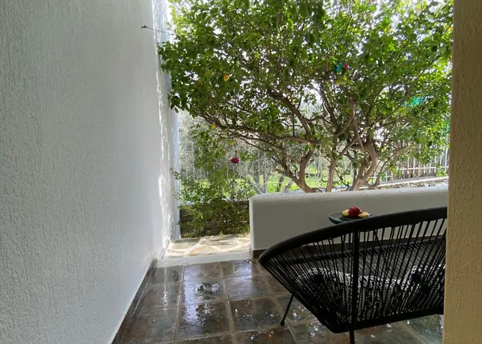 Appartement Olive Nest Parasporos