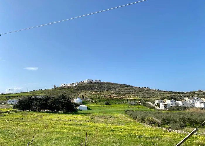 Appartement Olive Nest *